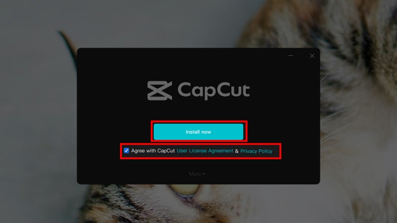 capcut pc full tiếng trung