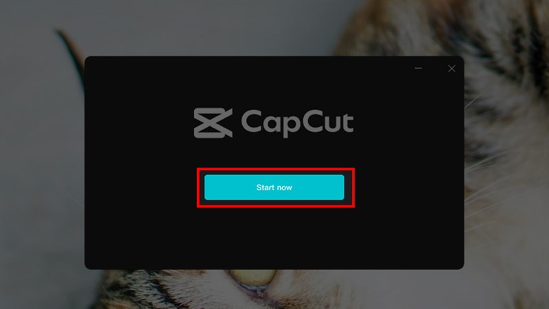 capcut pc full 2025